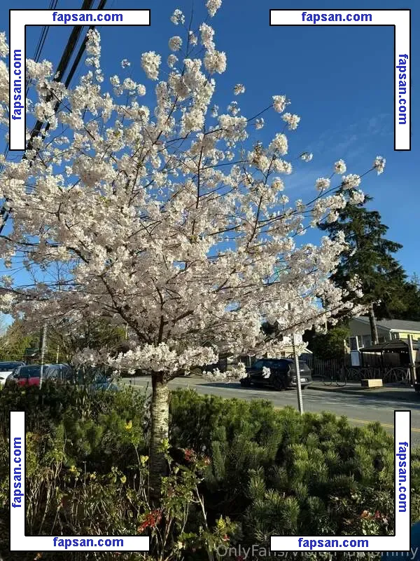 Violetplustommy голая фото #0020 с Онлифанс