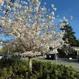 Violetplustommy голая #0020