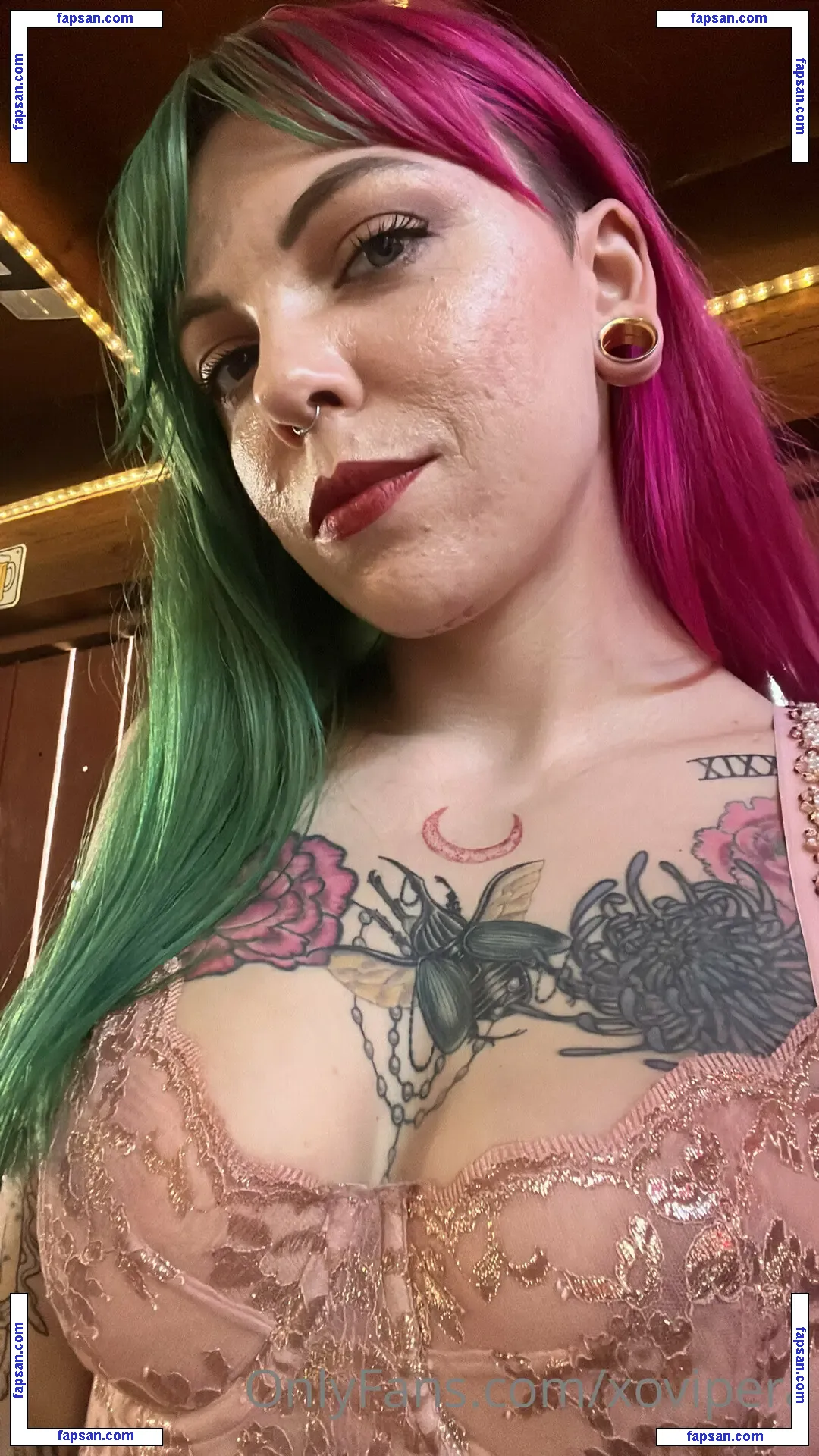 Vipera nude photo #0005 from OnlyFans