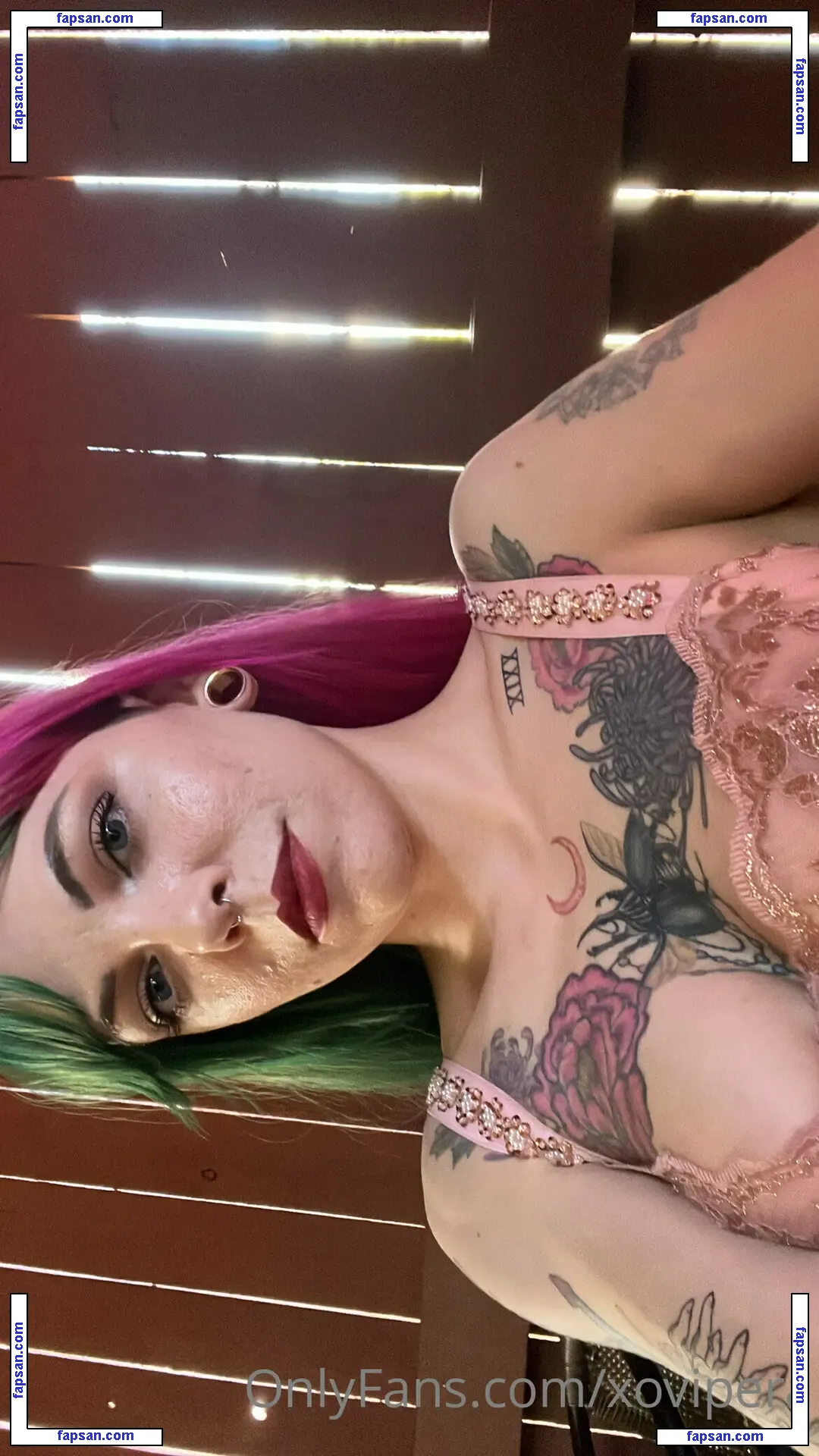 Vipera nude photo #0025 from OnlyFans