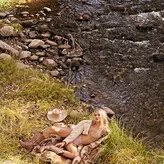 Vita Sidorkina голая #0506