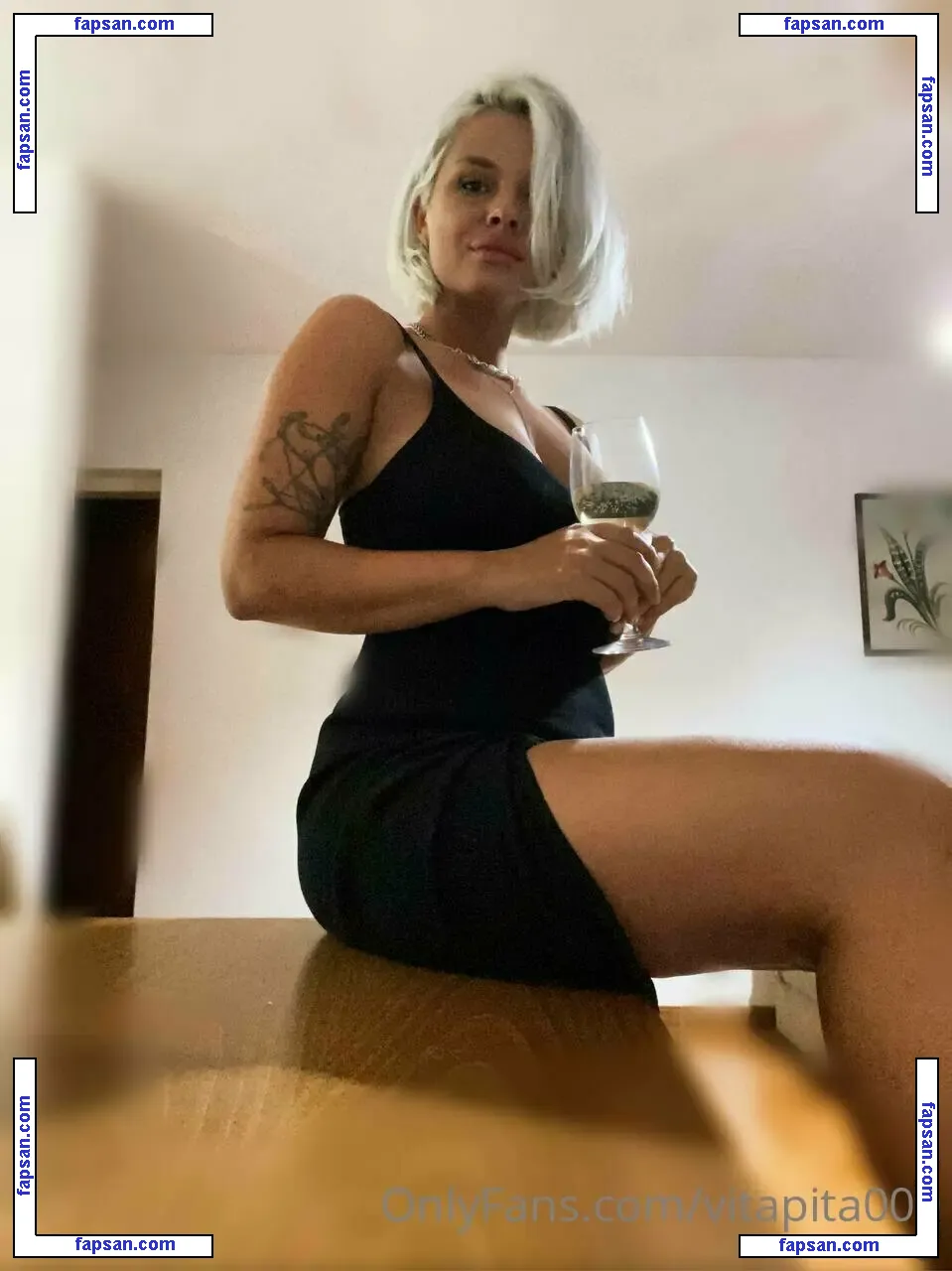 vitapita009 nude photo #0009 from OnlyFans