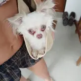 Vitória Strada nude #0062