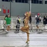 Viviane Araujo nude #0233