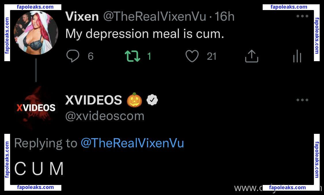 Vixenvu / vixen.vu nude photo #0057 from OnlyFans