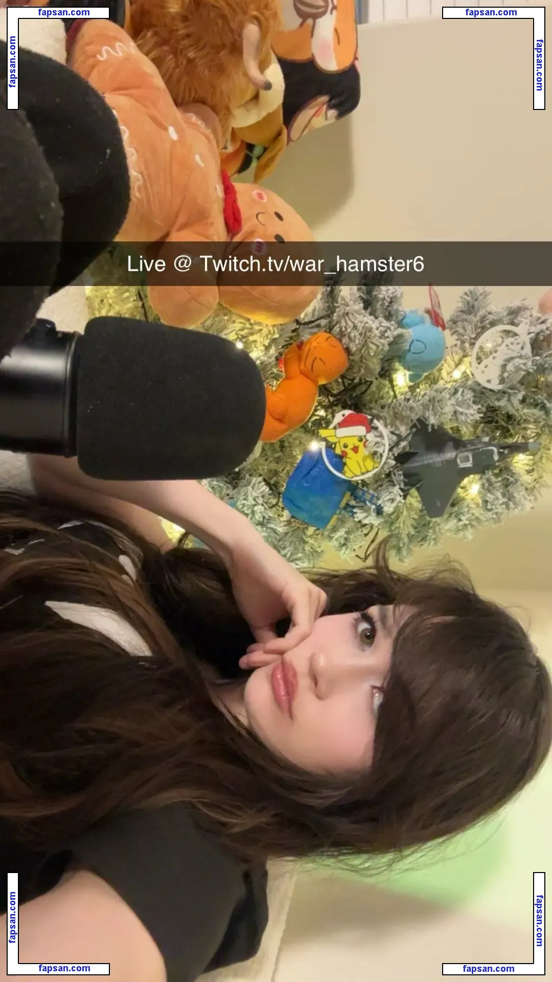 War Hampster nude photo #0009 from OnlyFans