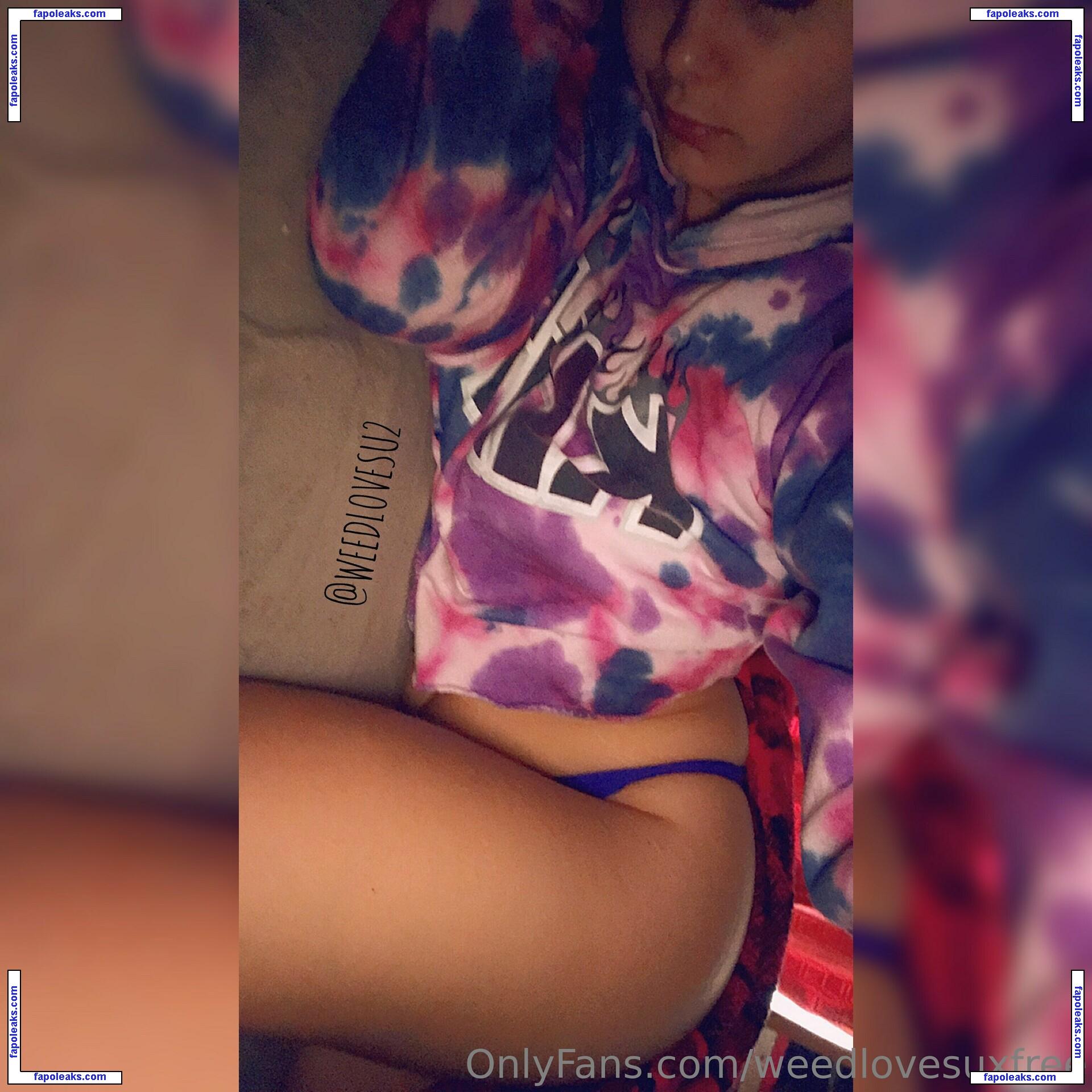 weedlovesuxfree nude photo #0016 from OnlyFans