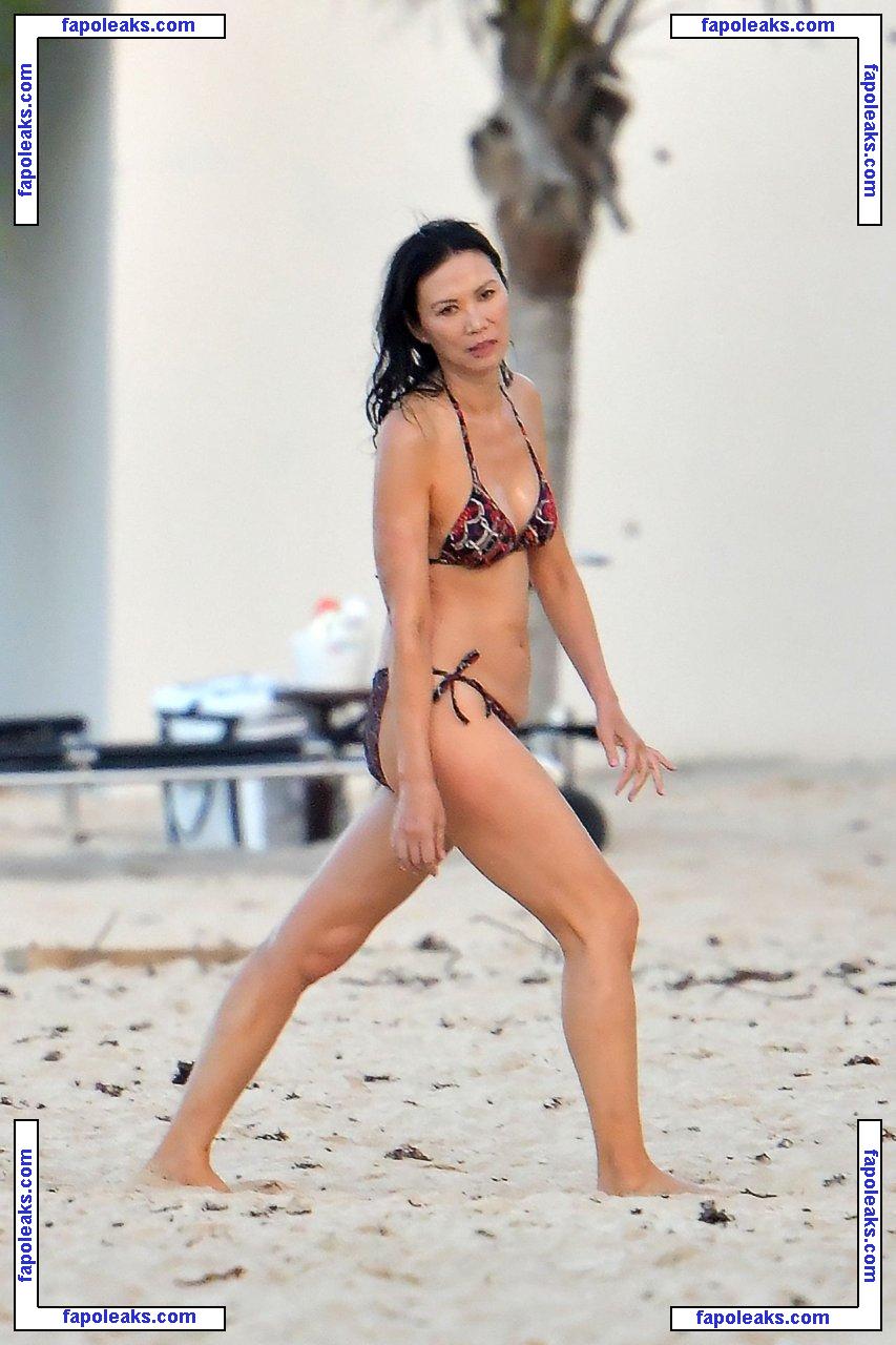 Wendi Deng Murdoch / wendimurdoch голая фото #0028 с Онлифанс