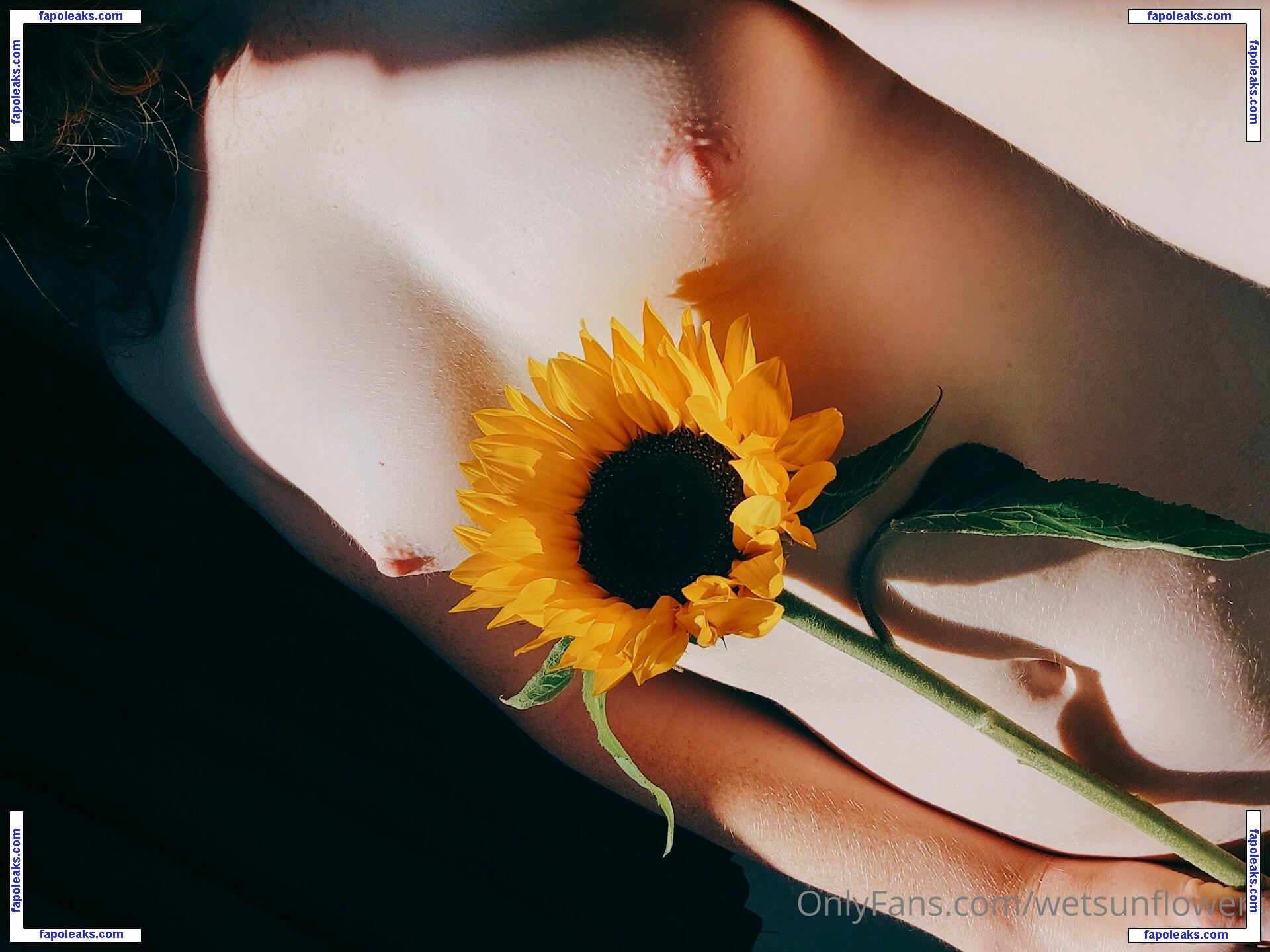 wetsunflowers nude photo #0007 from OnlyFans