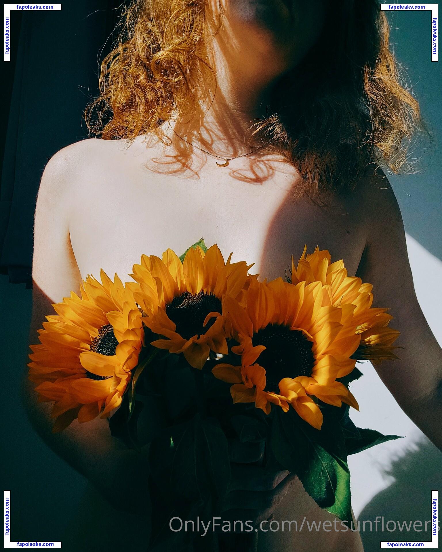 wetsunflowers nude photo #0015 from OnlyFans