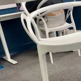 Whaletail Catches голая #0003