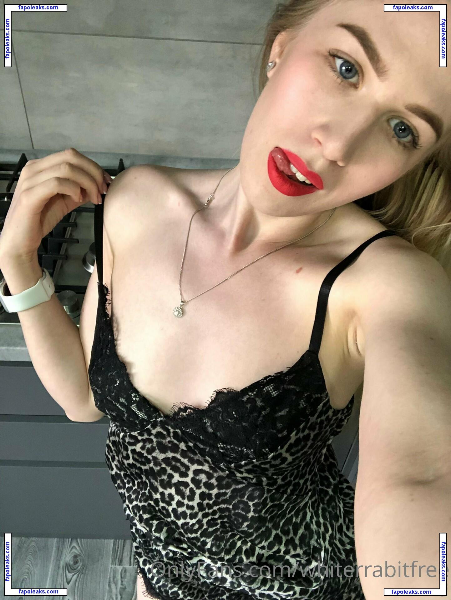 whiterrabitfree / whiterabbit1620 nude photo #0017 from OnlyFans