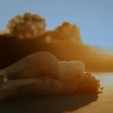 wildfoxgirl голая #0012