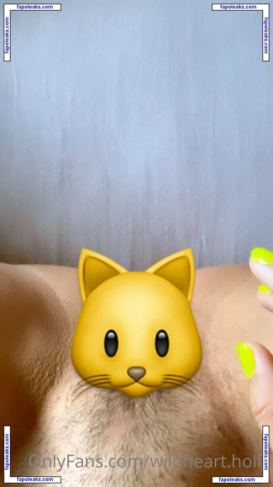 wildheart.holly / thecaptainswordislaw nude photo #0070 from OnlyFans