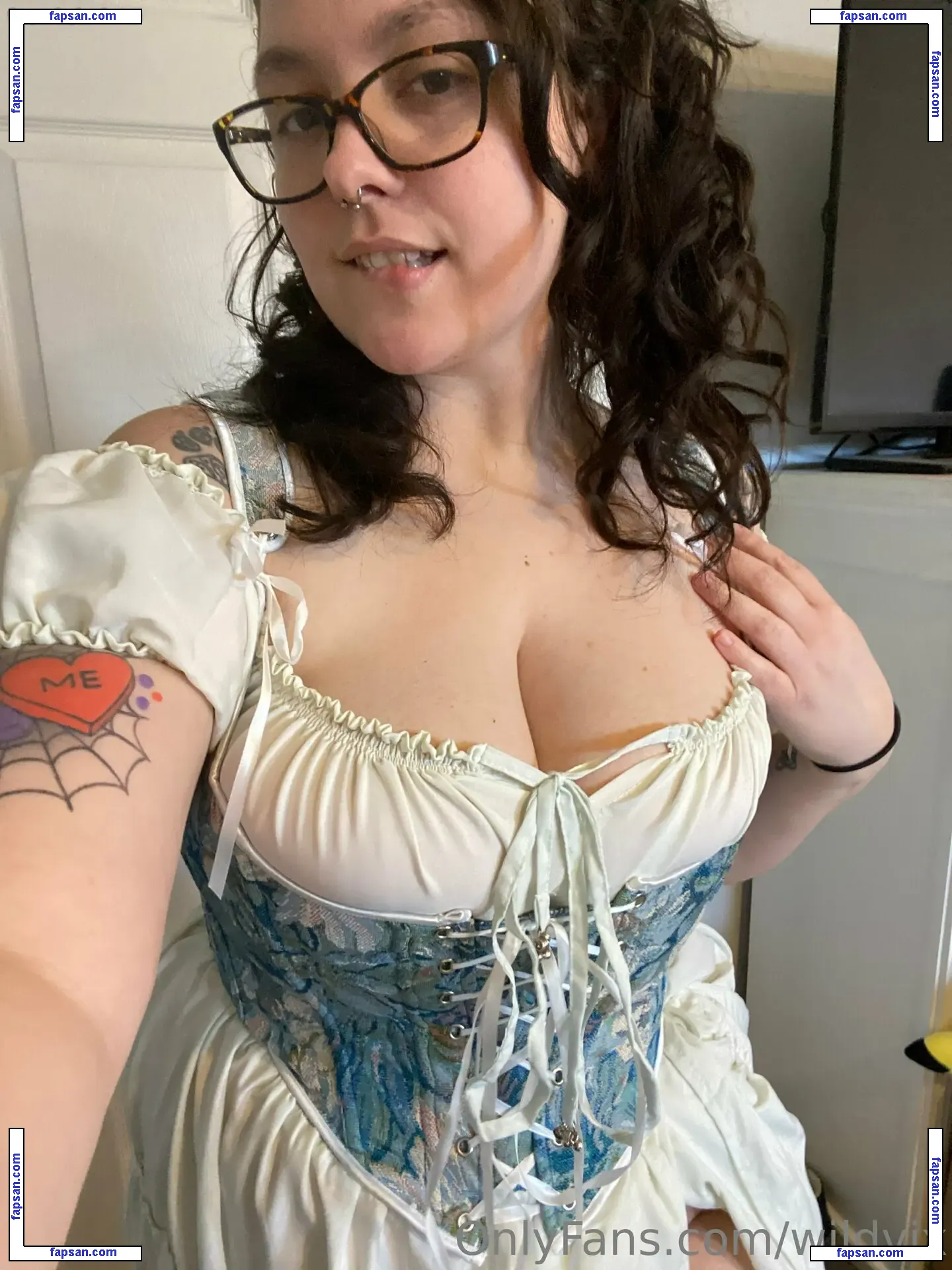 wildvix nude photo #0016 from OnlyFans