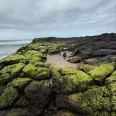 Willow Smith nude #0305