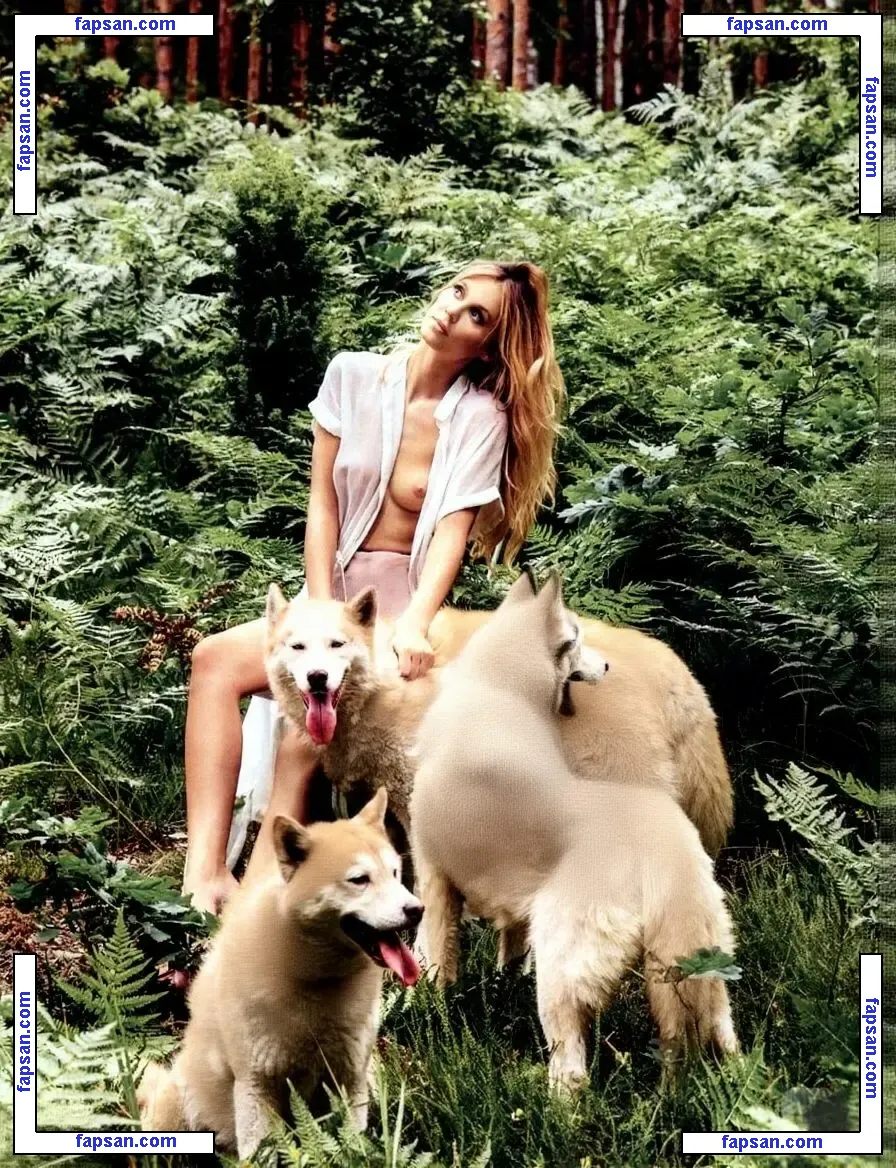 WomenEurovision голая фото #0010 с Онлифанс