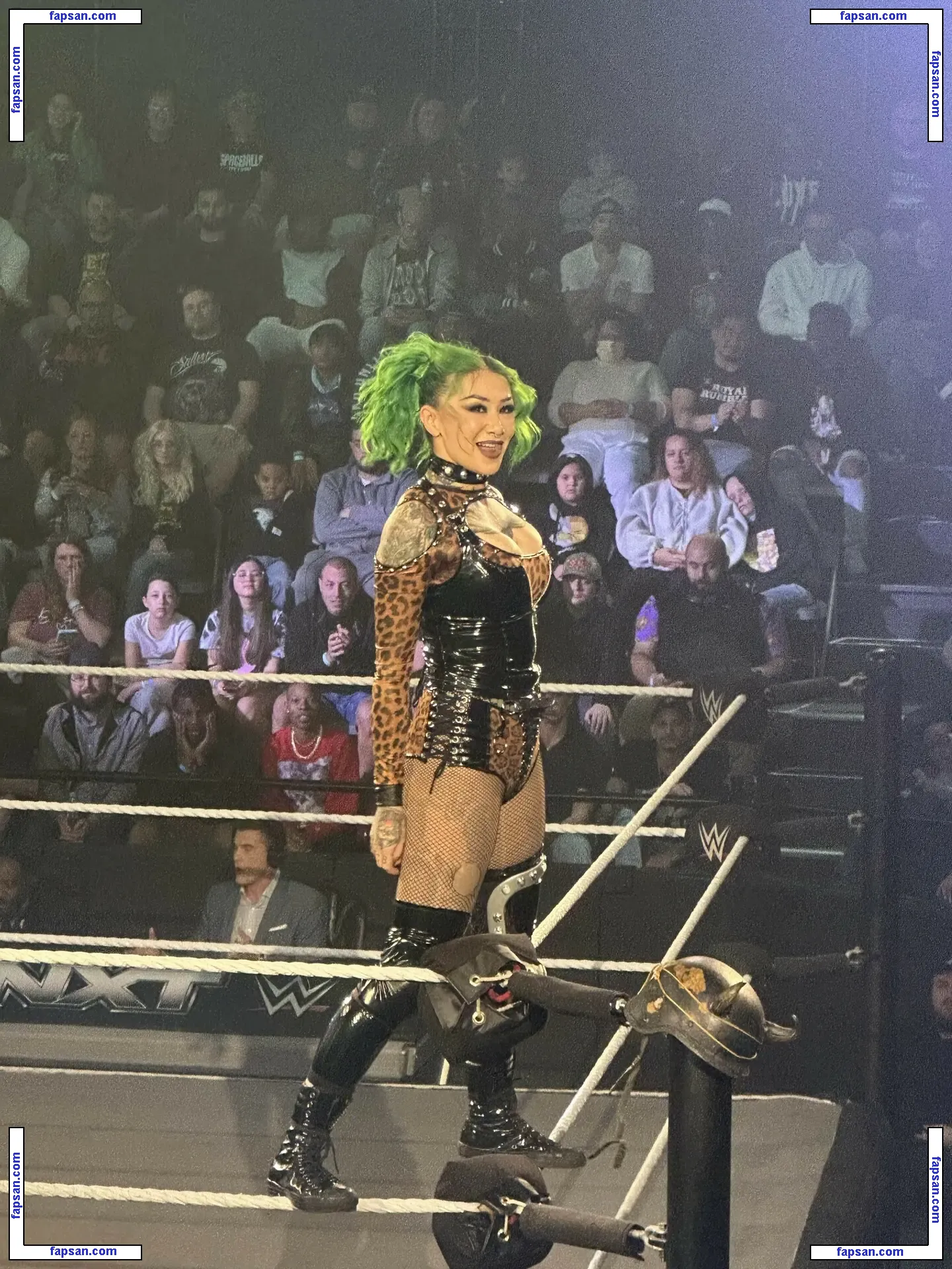 WWE Shotzi nude photo #0009 from OnlyFans