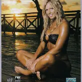 WWE Torrie Wilson nude #0012