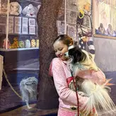 XGOfficial_ голая #0021