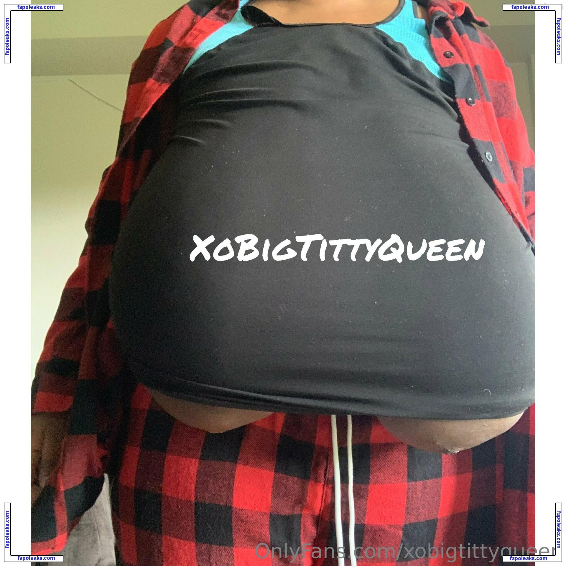 xobigtittyqueen nude photo #0045 from OnlyFans