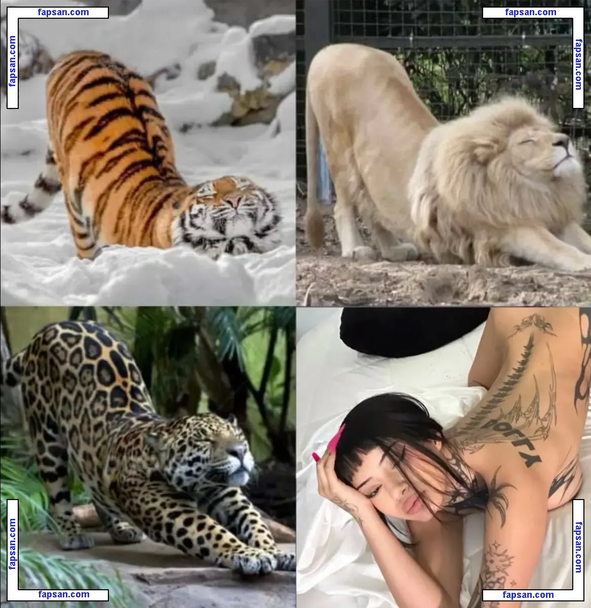 xoxobabeval голая фото #0002 с Онлифанс