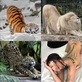 xoxobabeval голая #0002