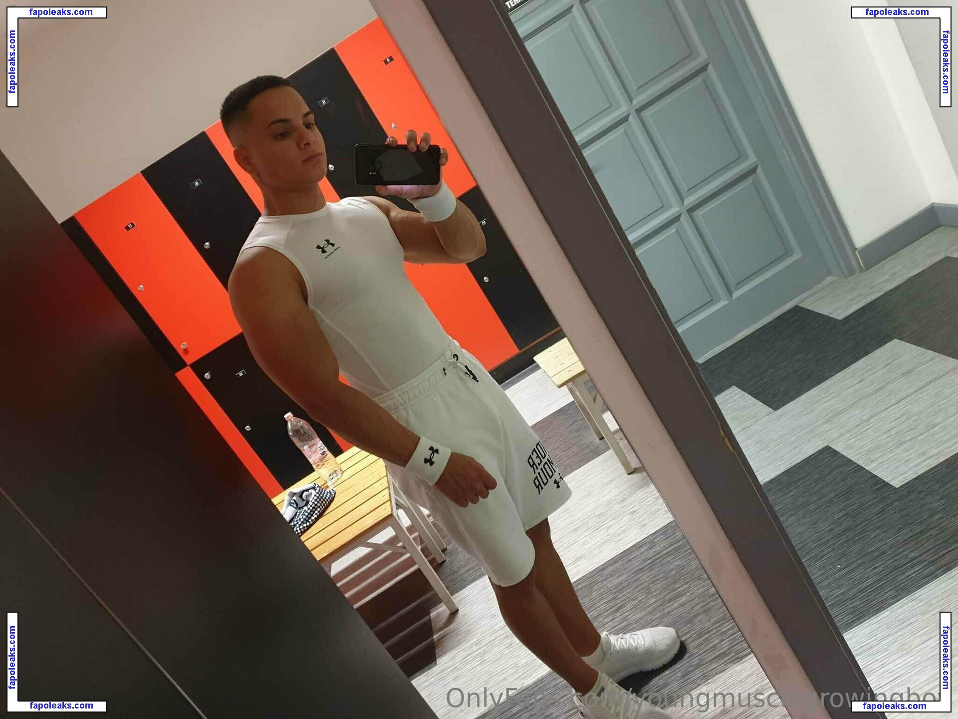 youngmusclegrowingboy nude photo #0010 from OnlyFans