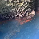 yoursmalldoll1 nude #0008