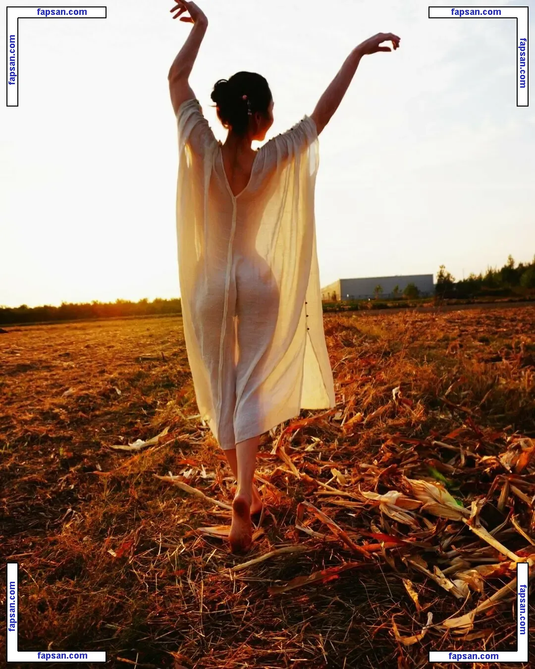 Yuan Herong голая фото #0351 с Онлифанс