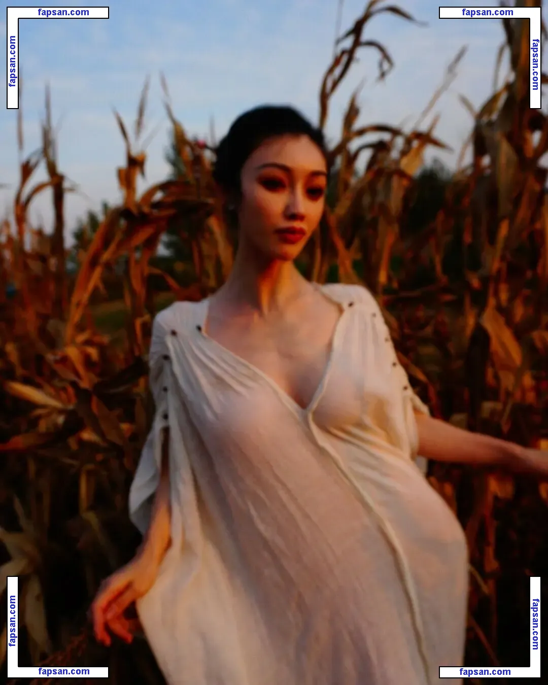 Yuan Herong голая фото #0356 с Онлифанс