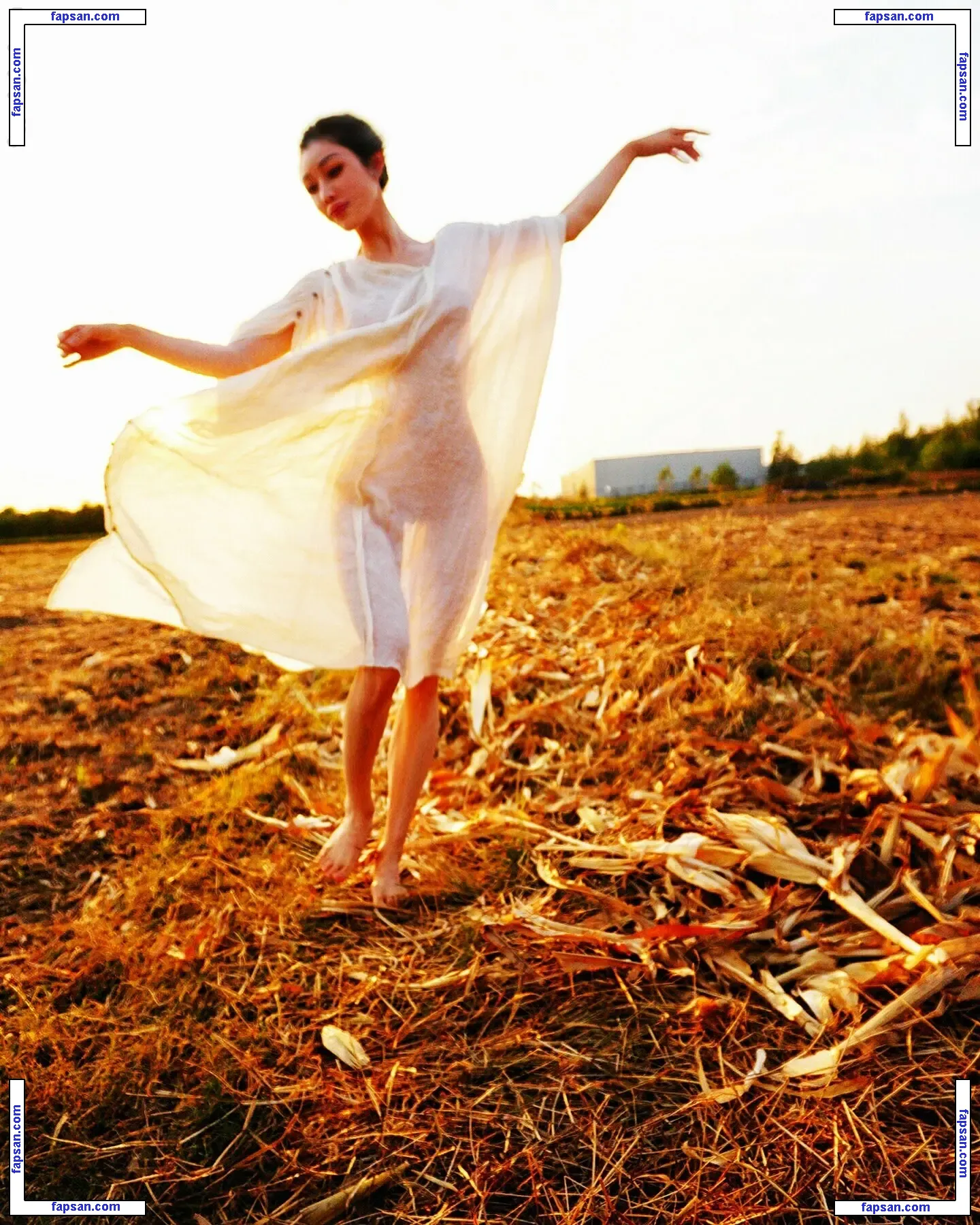 Yuan Herong голая фото #0359 с Онлифанс