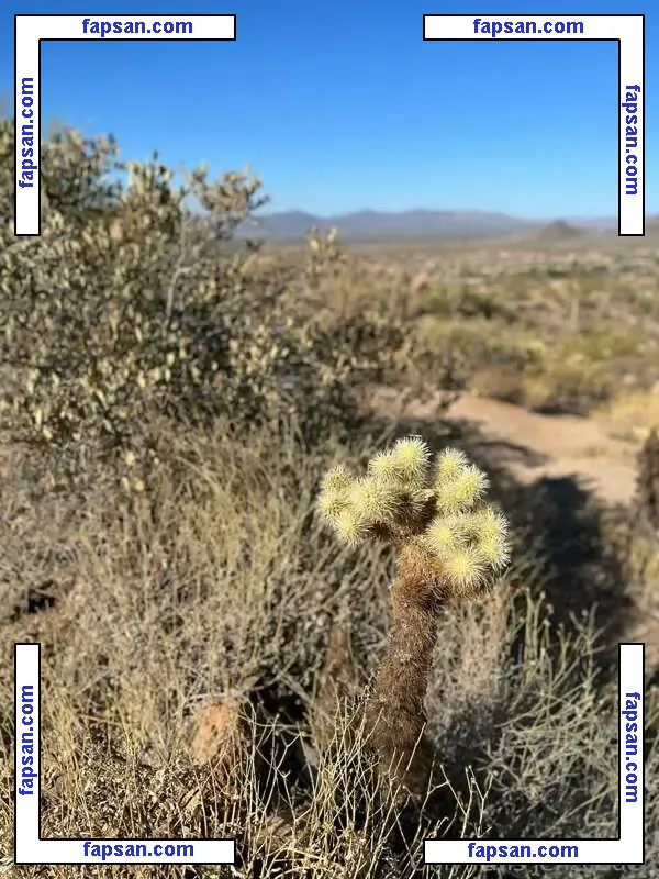 Zendenjen nude photo #0004 from OnlyFans