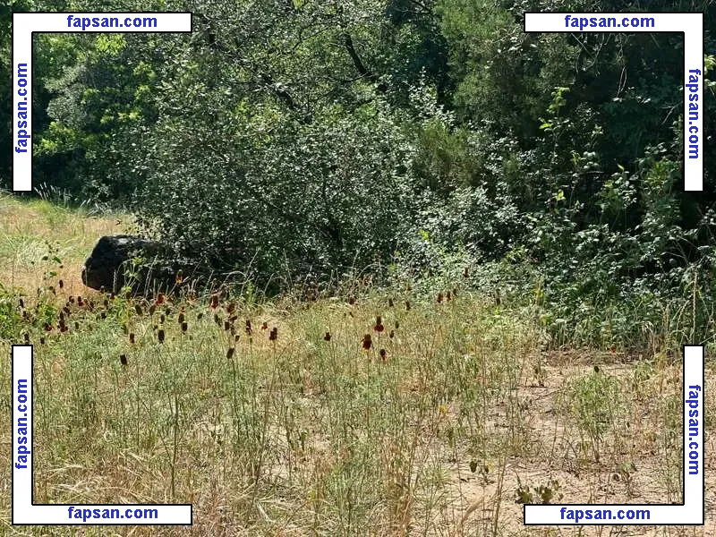 Zendenjen nude photo #0010 from OnlyFans