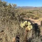 Zendenjen nude #0004