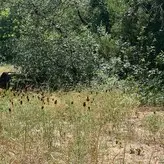 Zendenjen nude #0010