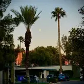 Zendenjen nude #0016