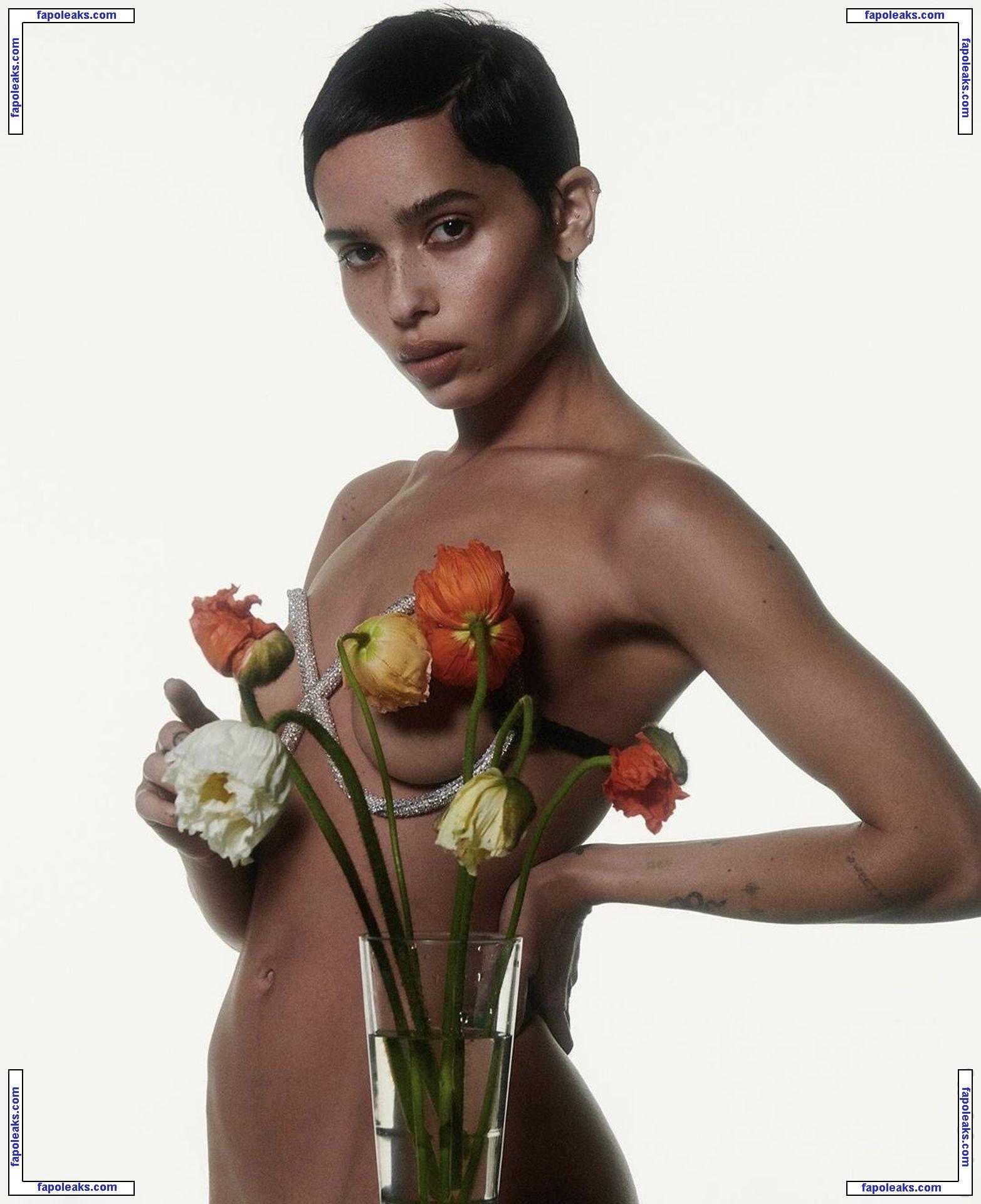 Zoë Kravitz nude photo #0299 from OnlyFans