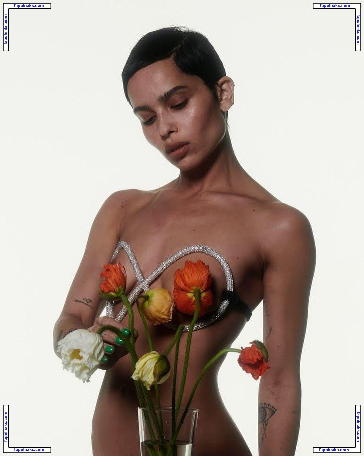 Zoë Kravitz nude photo #0300 from OnlyFans